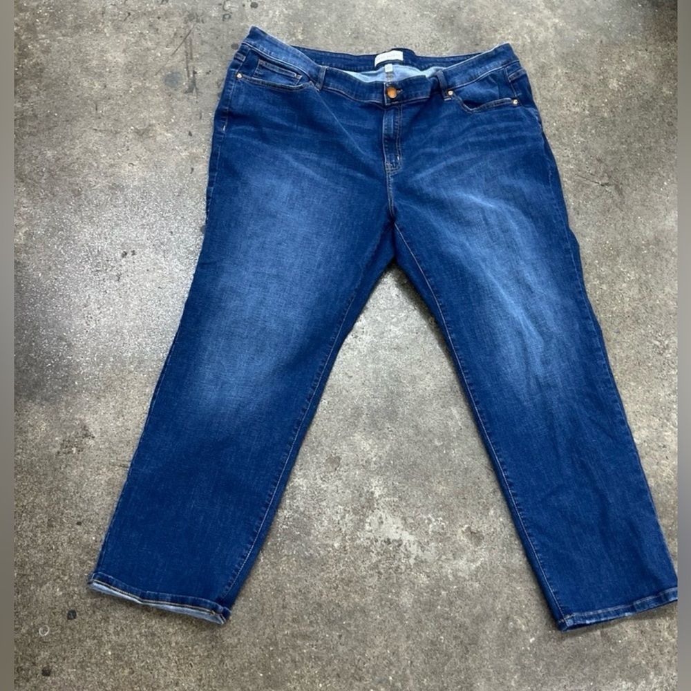 Lane Bryant jeans for women